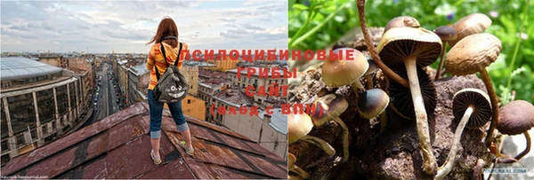 метамфетамин Алексеевка