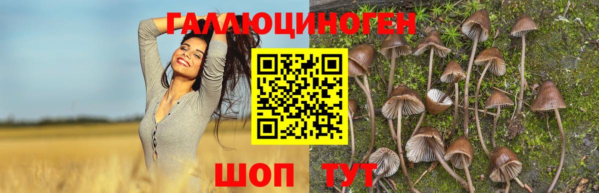 Галлюциногенные грибы мухоморы Ковров