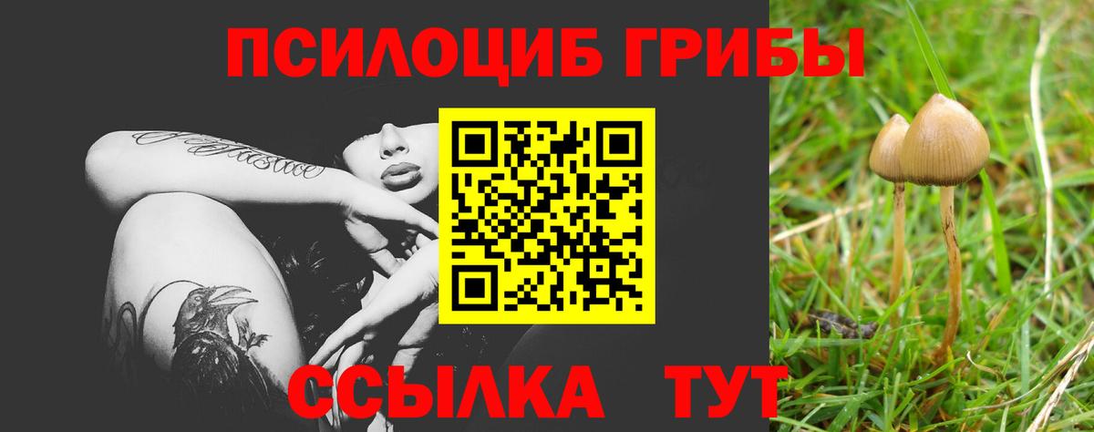 Галлюциногенные грибы прущие грибы  Вход с VPN  Ковров 