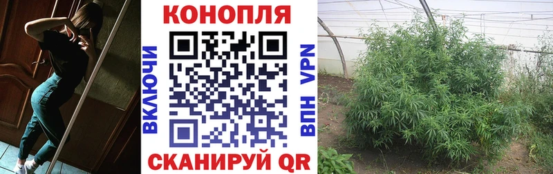 Марихуана Bruce Banner  Ковров 